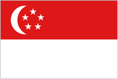 UK Singapore International Removals